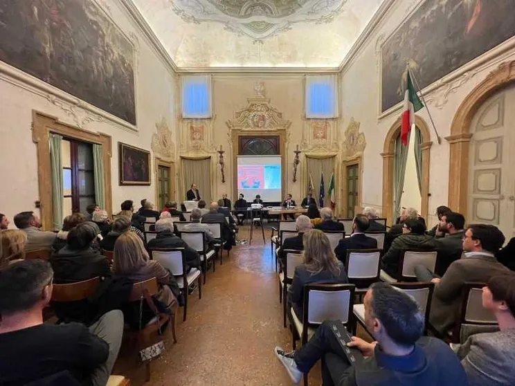 Imprese familiari e modelli organizzativi