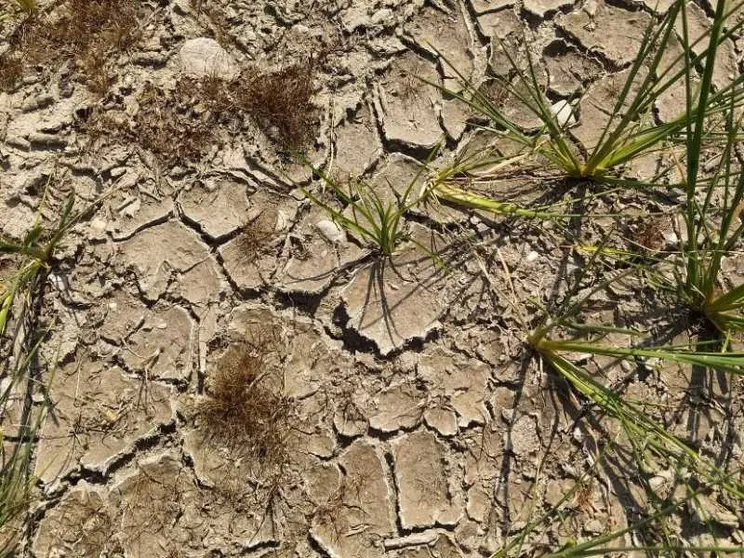 I contadini in rivolta Guerra dell'acqua in Pianura Padana