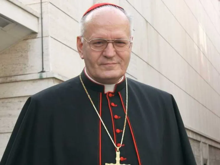 Il cardinale Erdö: un segno di vicinanza