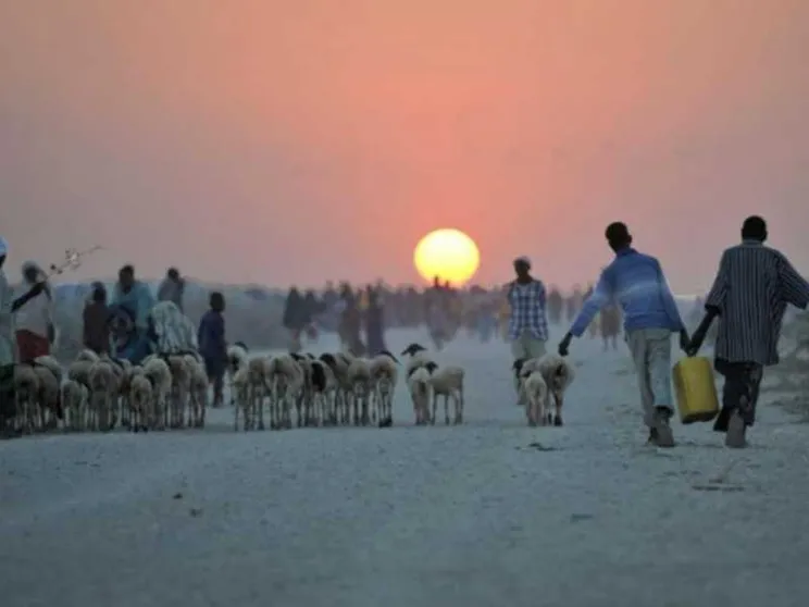 Profughi, l'Onu: «Il clima malato è ormai un'emergenza umanitaria»