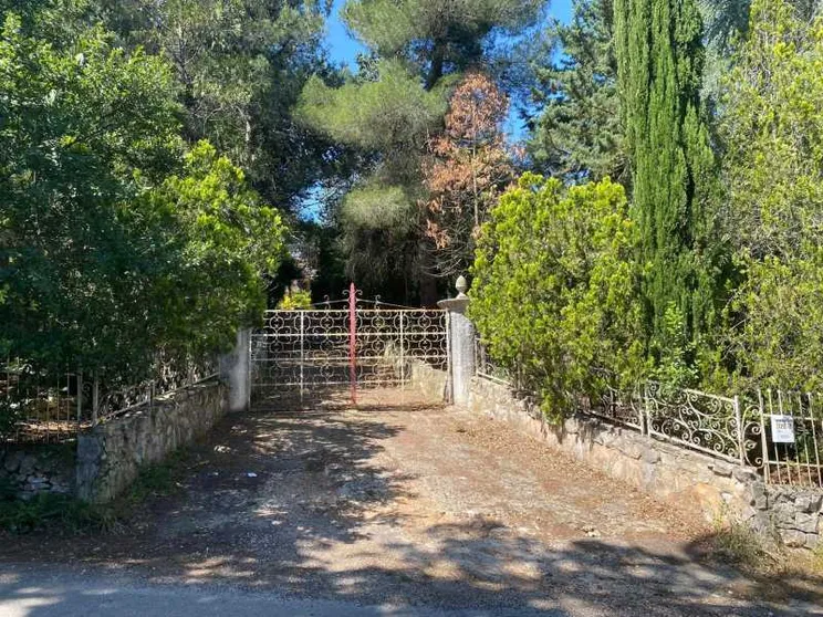 Padre investe la figlia di 54 anni e la uccide: fermato per omicidio