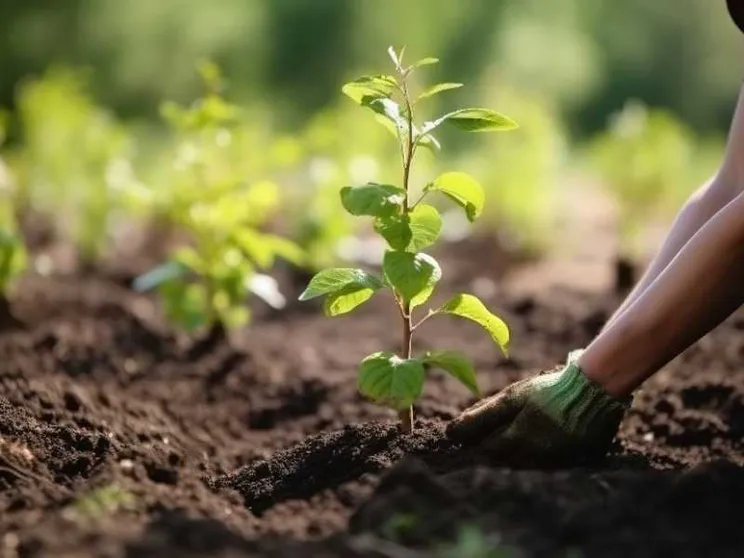 La sfida delle «parrocchie ecologiche»