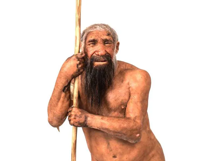 Neanderthal, trovati in Francia i "disegni" più antichi