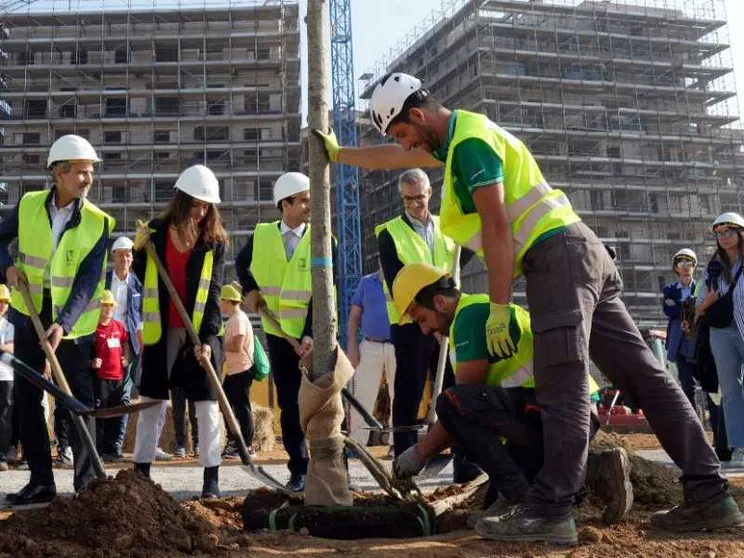 Sala: "Ripianteremo 5mila alberi"