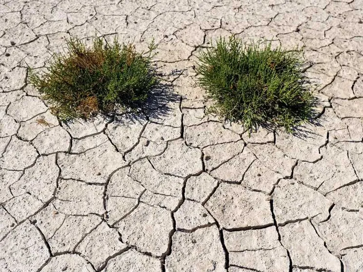 Luglio 2023 è il mese più caldo, superato il limite fissato da Parigi