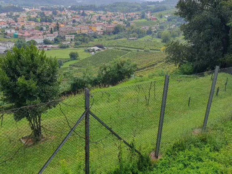 Gli eroi di Clivio che aiutarono ebrei e perseguitati a sfuggire ai nazifascisti