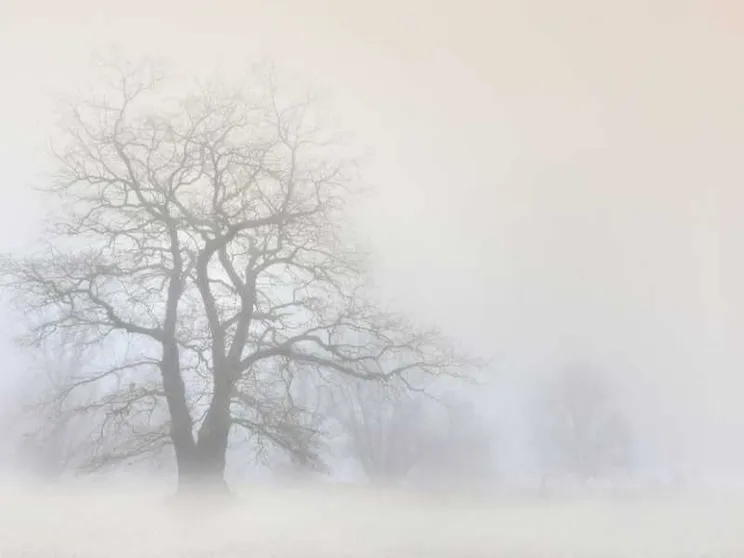 A Piacenza il festival della nebbia. Che può insegnare tante cose