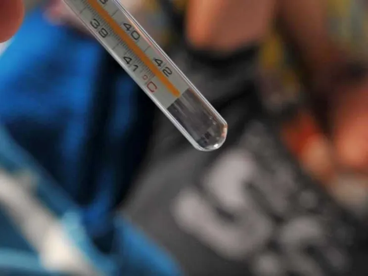 Morti di influenza e falsi allarmi: «Non c'è un aumento di casi gravi»