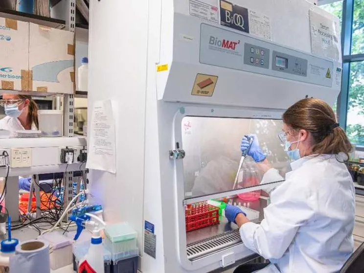 È già un 2024 di grandi scoperte nella lotta al cancro