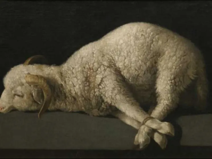 Con l’Incarnazione Dio salverà la creazione