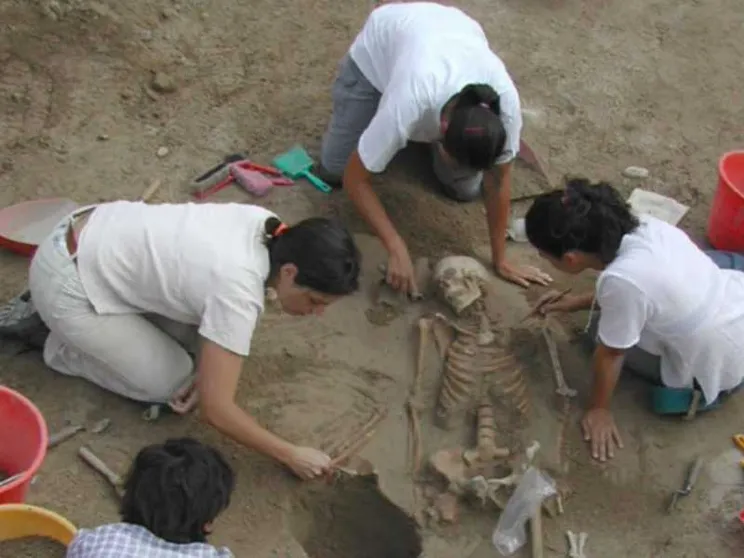 Resti di uomini e animali nella necropoli preromana di Verona