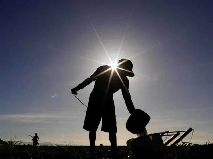 Quest'anno ci sarà un caldo record per colpa di “El Nino”