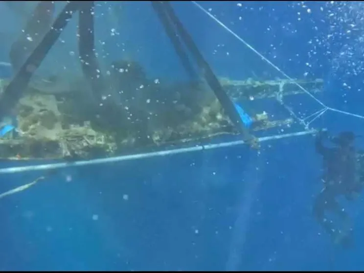 Dal mare di Pantelleria riemerge l’aereo dell’asso Alvise Andrich