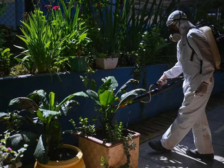 Il Brasile sfiora i due milioni di casi di dengue: il Paese è in emergenza