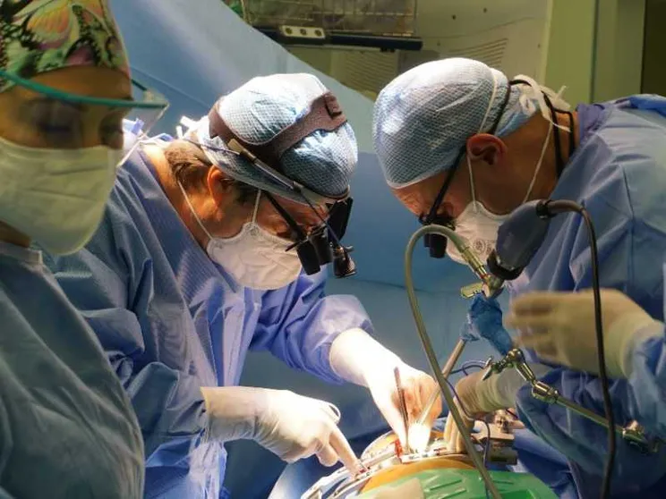 Xenotrapianti, una frontiera che si avvicina