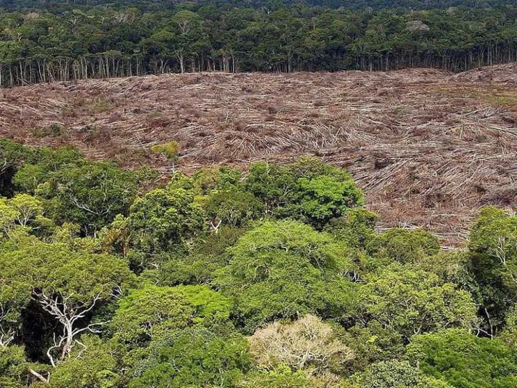 Uccisero 4 leader indigeni che difendevano la foresta: 5 condanne