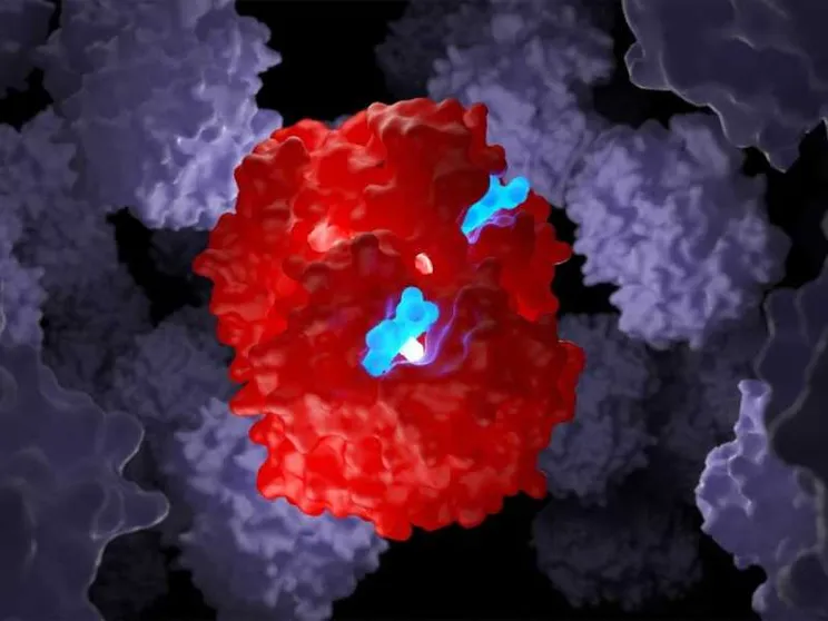 Beta talassemia e anemia falciforme, con le “forbici molecolari” si può guarire