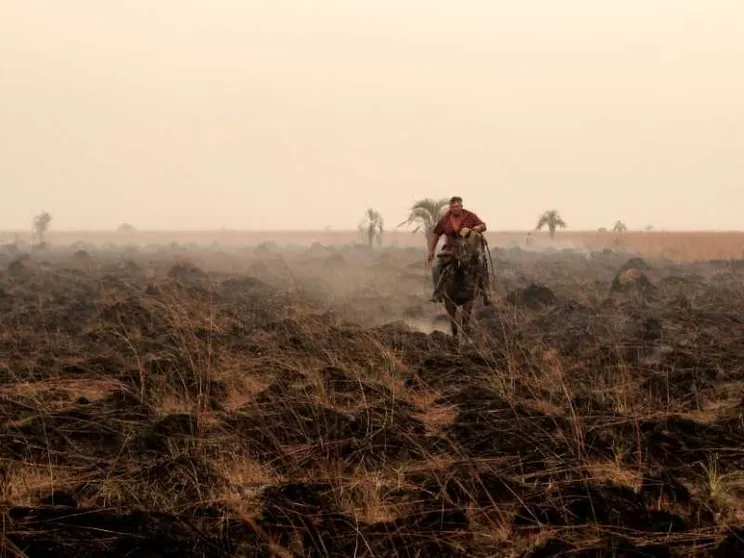 El Niño e La Niña in altalena non sono una buona notizia per il cibo