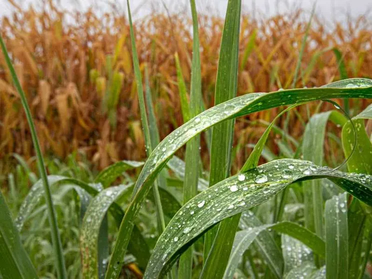 Il riscaldamento climatico è una bufala? La nostra risposta a un lettore