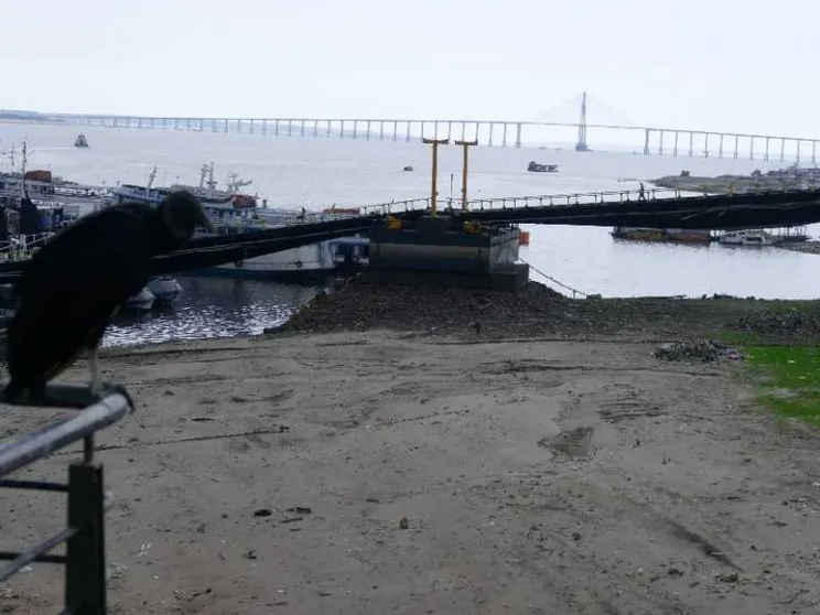 Emergenza clima, a rischio 3,6 miliardi di persone