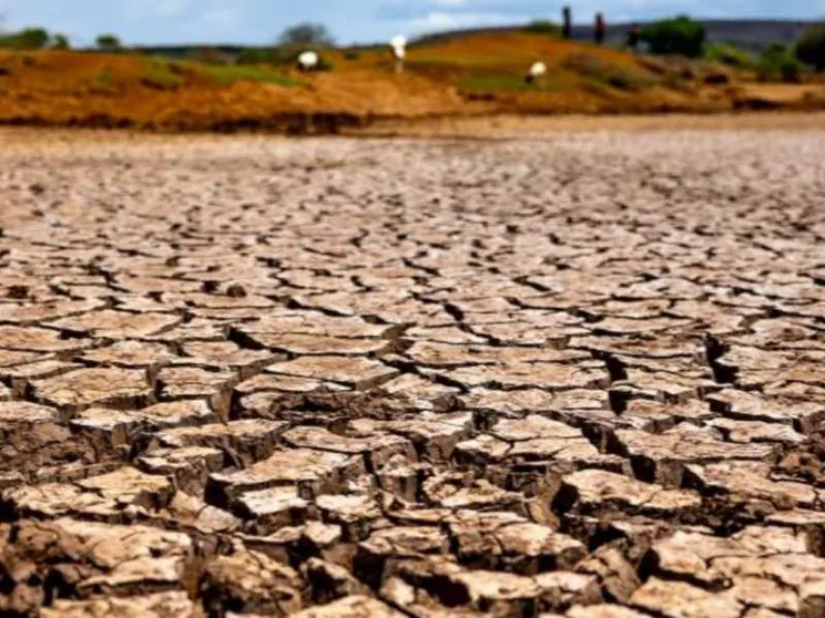 Oggi la Giornata dell'ambiente. La sfida di fermare il deserto