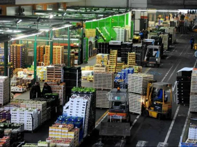 Il caporalato arriva in tavola: così resiste la filiera del cibo senza regole