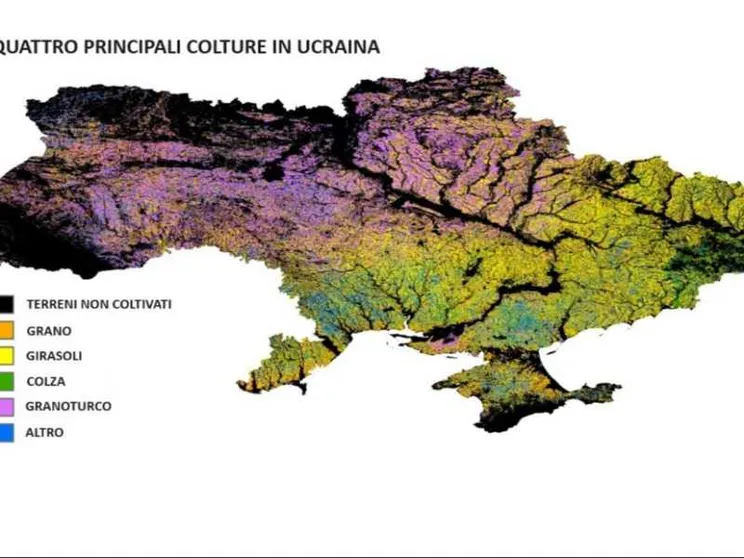 La guerra ha svuotato il granaio d’Europa: Ucraina, perso un quinto dei terreni