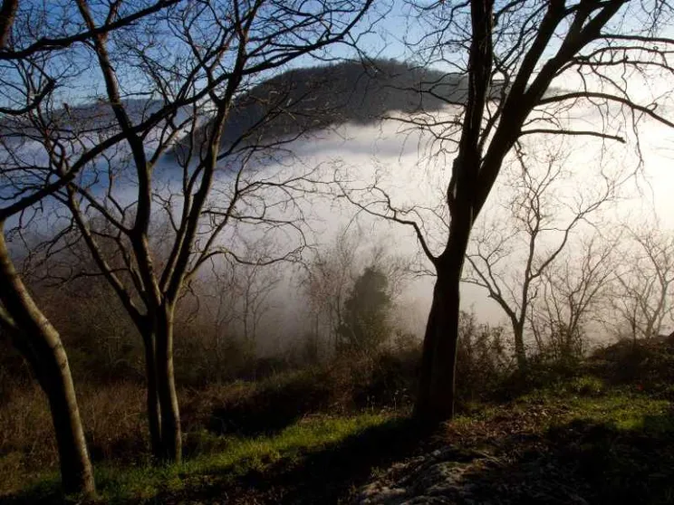I Colli Euganei entrano nel patrimonio della biosfera Unesco