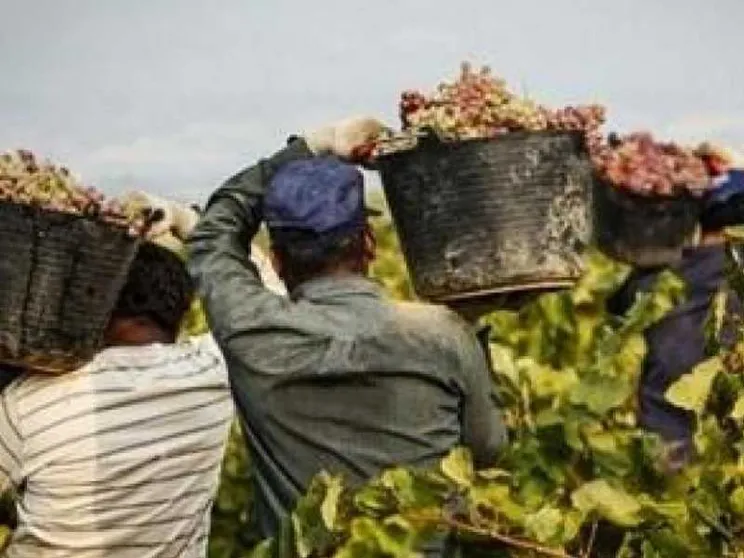 La storia dei 33 braccianti ridotti in schiavitù dai caporali indiani