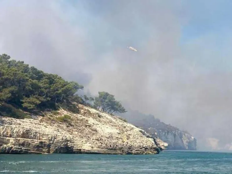 Vieste, domato l'incendio. "Rogo doloso"
