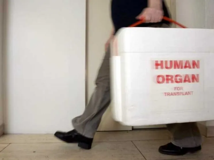 Trapianti di organi e donazioni: Italia da record
