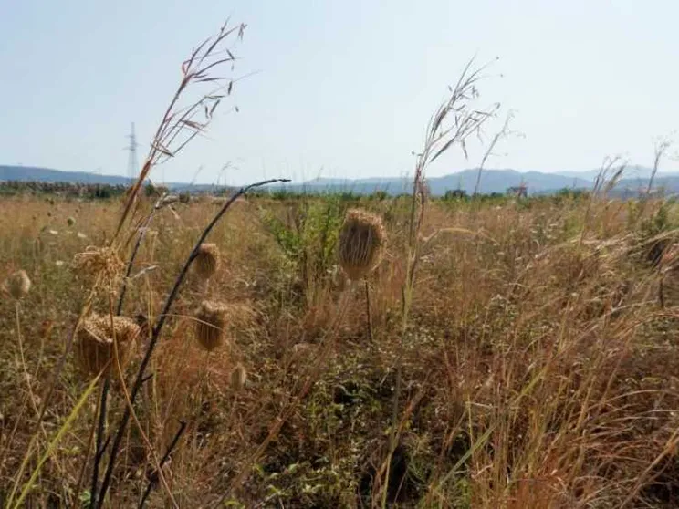 In Puglia acqua con il contagocce dai rubinetti e per i campi agricoli