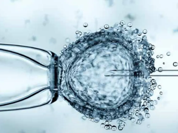 Procreazione artificiale: la vita si dona o si "possiede"?