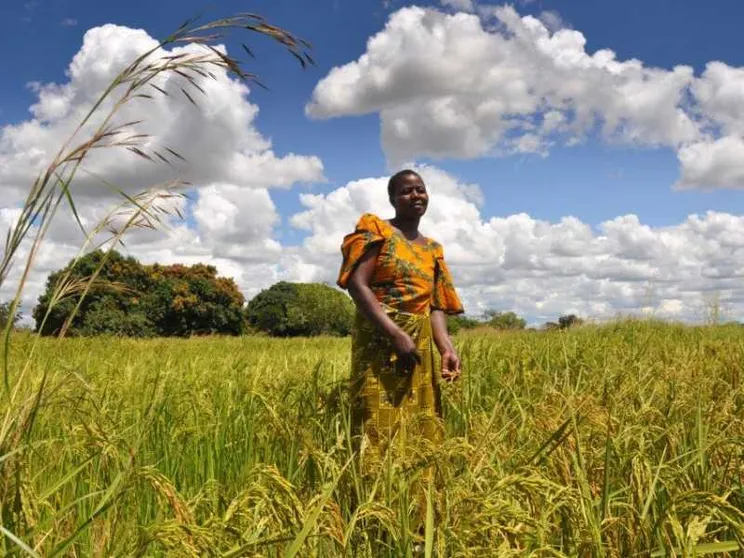 G7 agricoltura, investimenti e diplomazia: l'Africa tra clima e speculazione