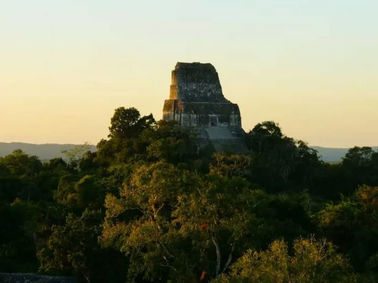 Messico, scoperti nella foresta nuovi insediamenti della civiltà maya