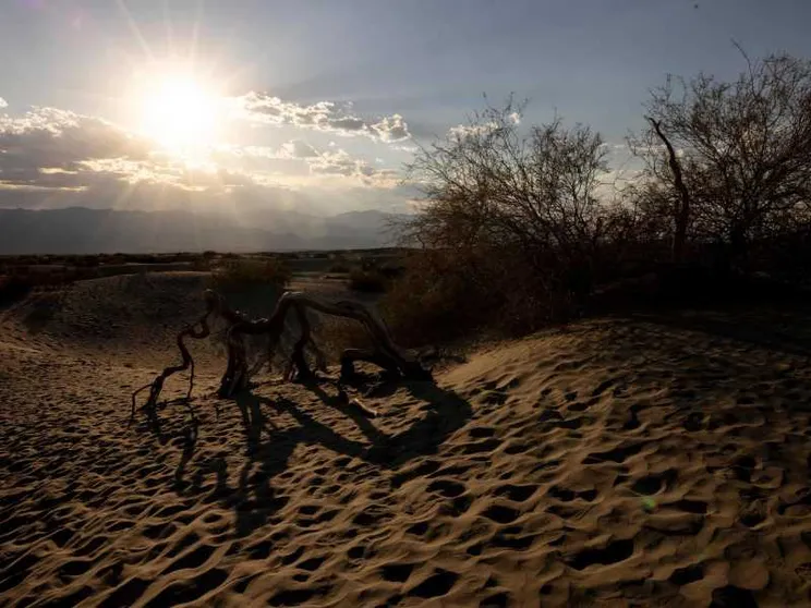 Il 2024 è stato l'anno più caldo di sempre