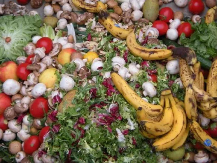 Lo spreco a tavola continua a crescere. E sono i più poveri a buttare più cibo