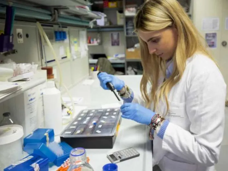 “Linfociti killer” per curare i tumori al pancreas e al colon
