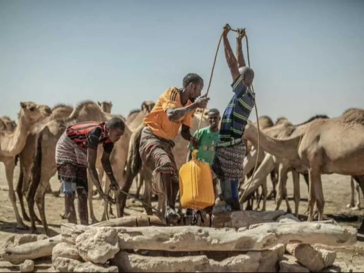 L'allarme Onu: record di profughi climatici nel 2024