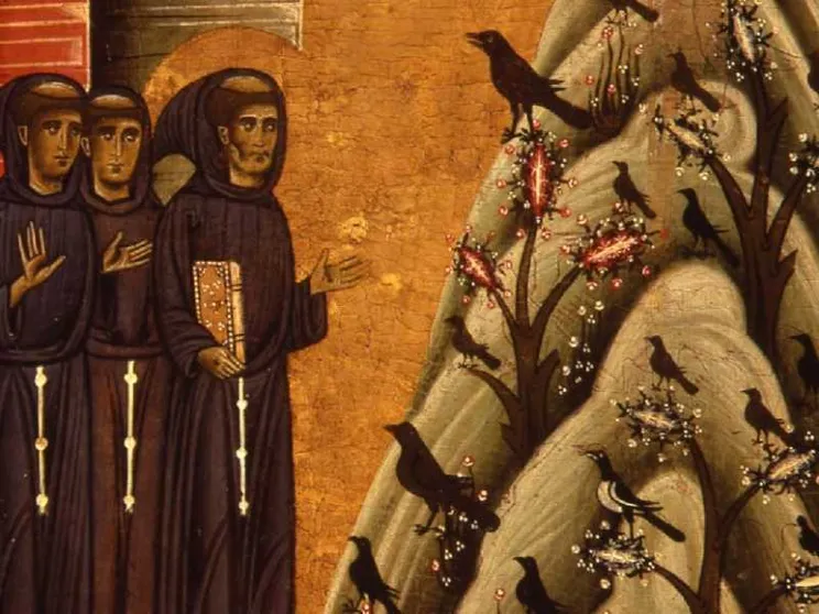 Pietro Maranesi: «San Francesco è il precursore dell’ecologia integrale»