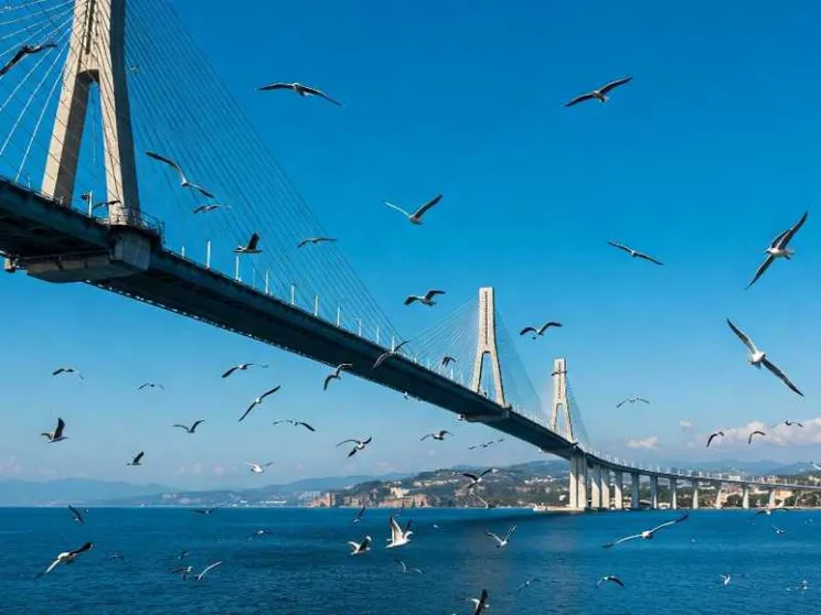 «Contro il ponte sullo Stretto tre azioni legali per il bene d'Italia»