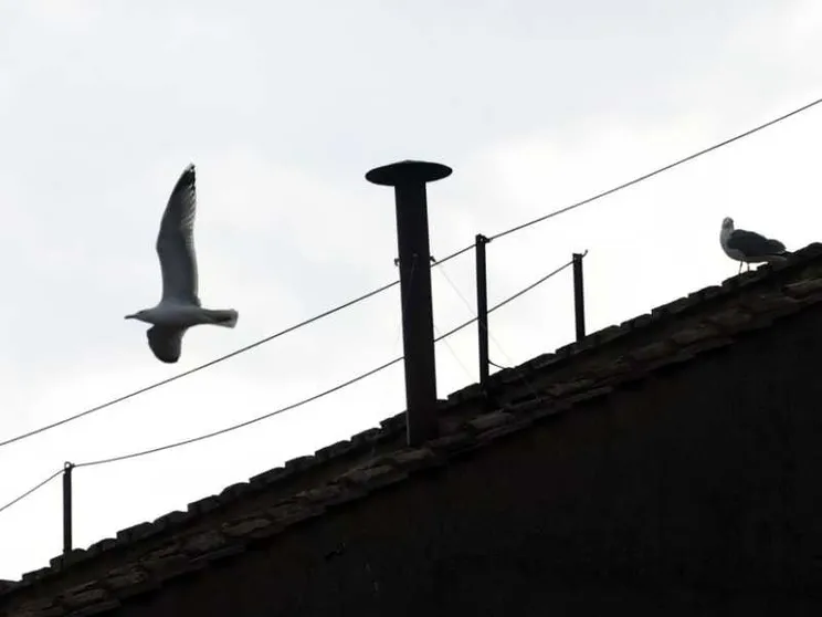 L’attesa guardando un comignolo, una bellezza fuori dal mondo
