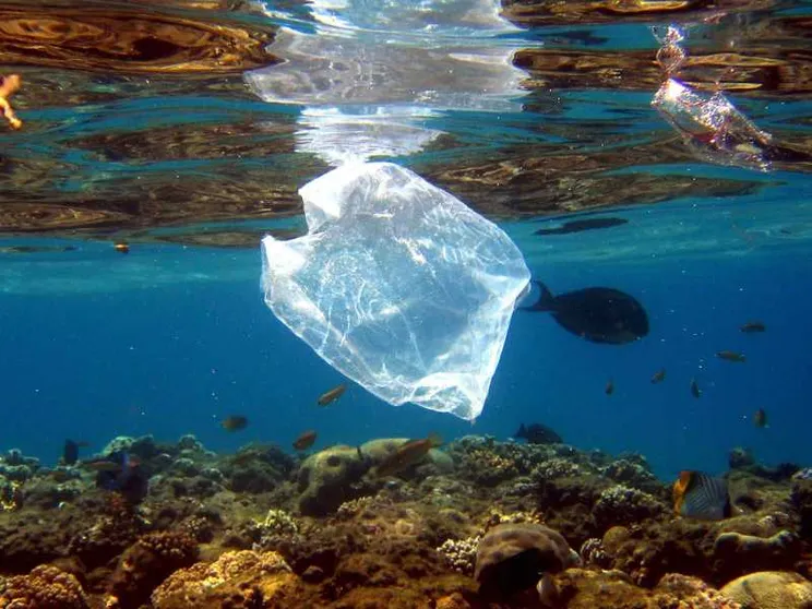 Perché la Giornata dell'Ambiente impone una scelta subito sulla plastica