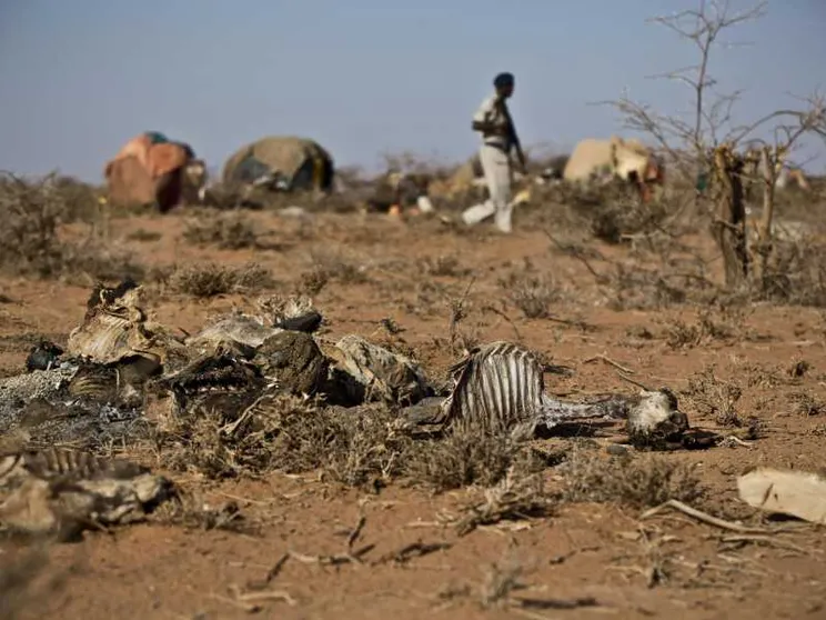 Oxfam: record di patrimoni dell'1% più ricco e della povertà estrema