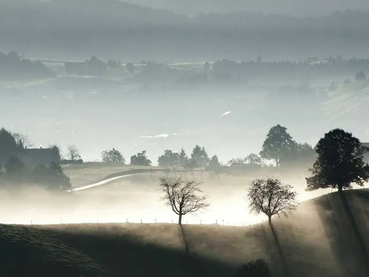 Così gli alberi segnano il tempo e risvegliano la nostra immaginazione