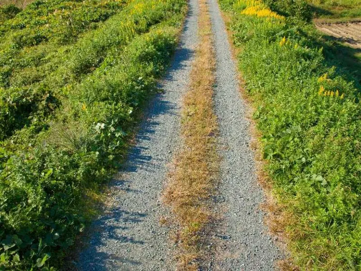 «Cosa vuoi conoscere?». La domanda che segna la strada
