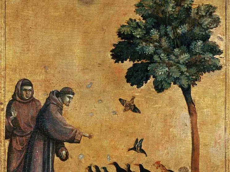 Gli 800 anni del Cantico delle Creature sono un manifesto per l'oggi