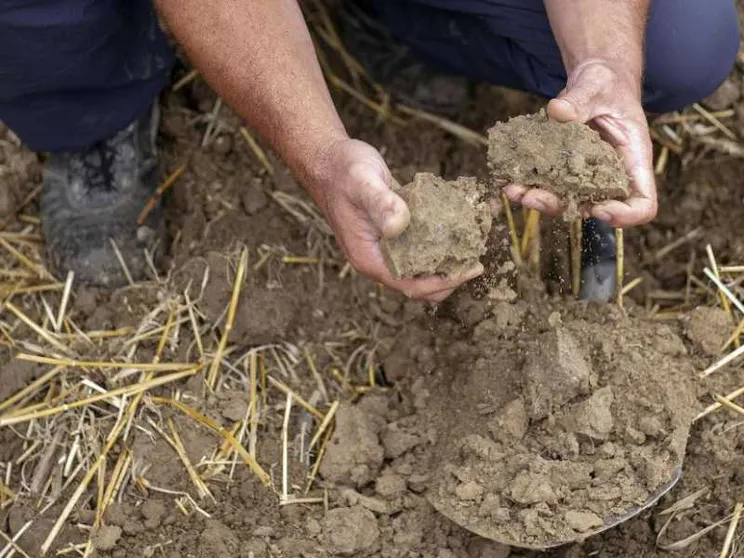 È l'Overshoot day: abbiamo consumato tutte le risorse naturali dell'anno