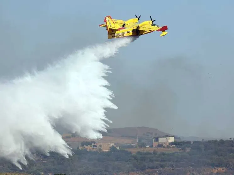 Incendi, l'allarme di Legambiente: in fumo 31mila ettari