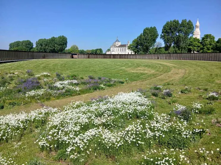 Arras, la città "reduce di guerra" che ha costruito la sua speranza